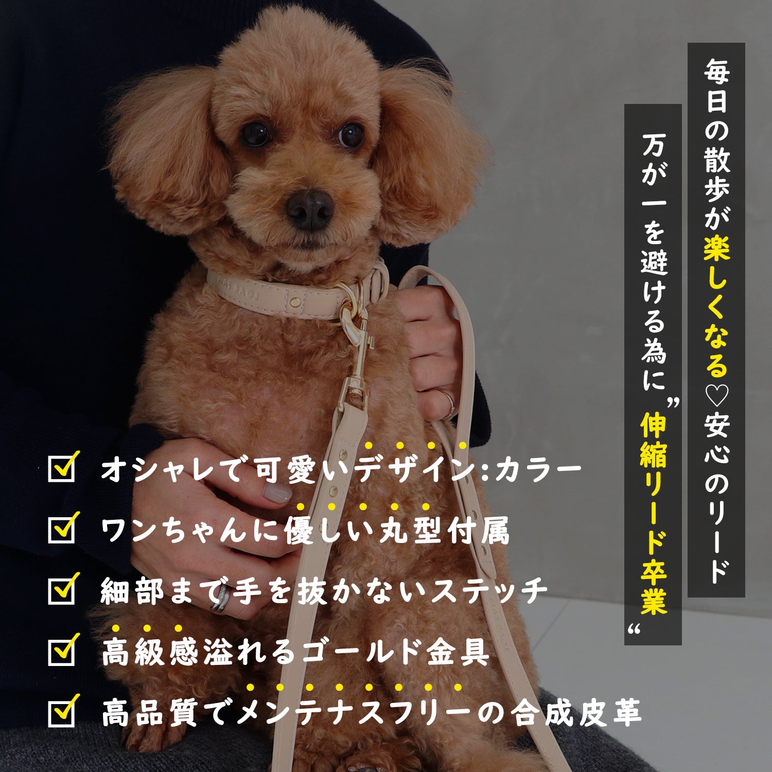 エコレザーリード